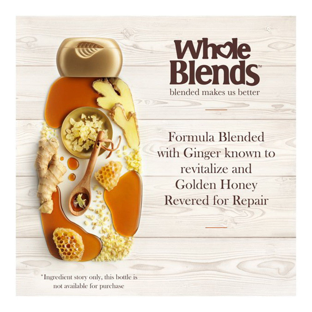 Garnier Whole Blends Ginger Recovery Strengthening Shampoo, 12.5 fl. oz