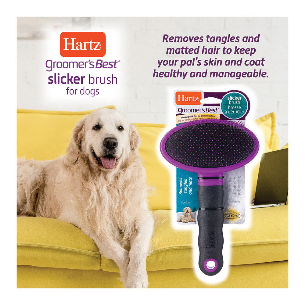 Hartz Groomer's Best Slicker Brush For Large Dogs, 1 Ea