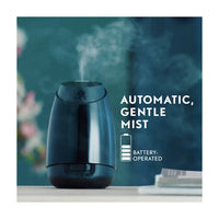 Air Wick Essential Mist Aromatherapy Sleep Refill Oils Diffuser, 1 Ea, 0.67 Oz
