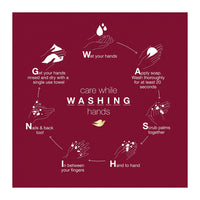 Dove Rejuvenating Body Wash Pomegranate and Hibiscus Tea, 20 0z
