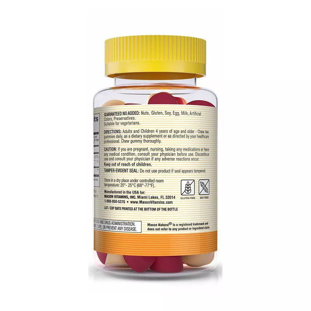 Mason Natural Sugar Free Probiotic Gummies Dietary Supplement, 60 Ea
