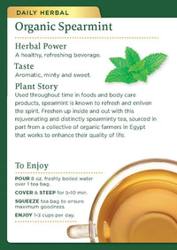 Traditional Medicinals Caffeine Free Organic Spearmint Herbal Tea Bags, 16 Ea