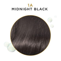 Clairol Beautiful Collection Advanced Gray Solution Semi-Permanent Hair Color, Midnight Black 1A, 3 Oz