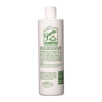 Nutrine Unscented Garlic Hair Shampoo for Excessive Hair Loss, 16 Oz