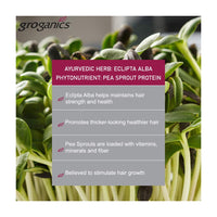 Groganics DHT Blocker System Moleculizing Root Lifter For Advanced Hair Loss And Severely Thinning Hair Only, 4 oz