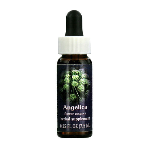 Flower Essence Angelica Herbal Supplement Dropper, 0.25 Oz