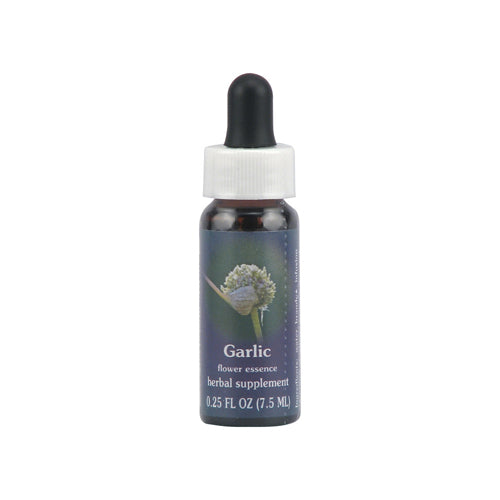 Flower Essence Garlic Dropper for Grounded Vitality 0.25Oz (7.5ml)