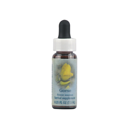 Flower Essence Gorse Herbal Supplement Dropper - 0.25 Oz