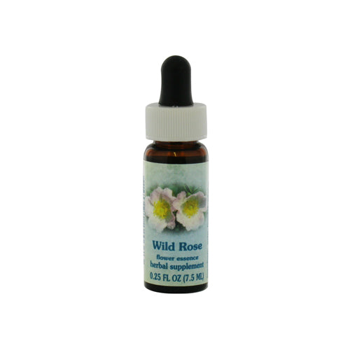 Flower Essence Wild Rose Dropper for Renewed Interest Joy and Willing Engagement in Life 0.25Oz (7.5ml)